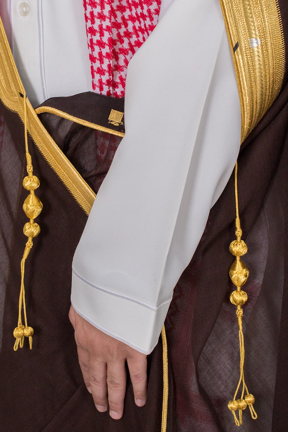 بشت ملكي عودي